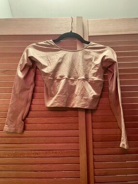 Rhonda Shear Long Sleeve Crop Top in Beige,Size XL